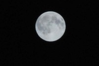 明日は、花火　と　満月 2009/09/05 00:16:12