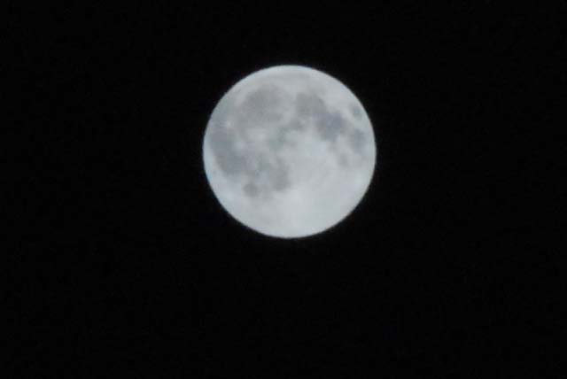 明日は、花火　と　満月
