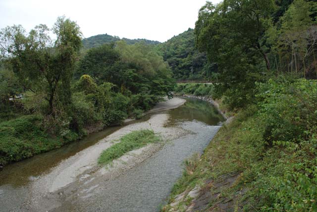 地区祭