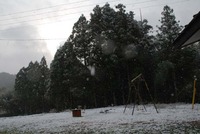 謹賀新年 2010/01/01 14:59:38