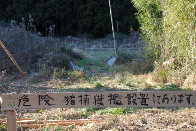 イノシシの罠