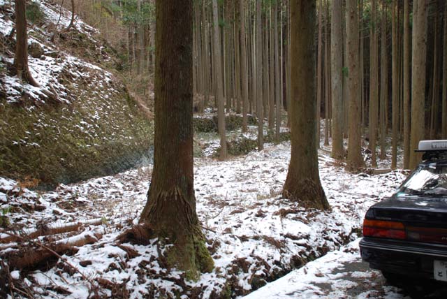 一本杉隧道