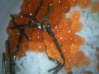 スノボを楽しむために２ 2011/02/03 20:19:18