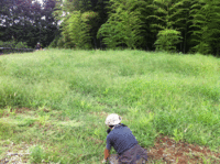 生姜ないね・・・ 2012/07/10 18:39:17