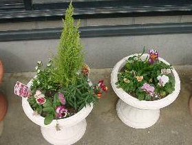 寄せ植え