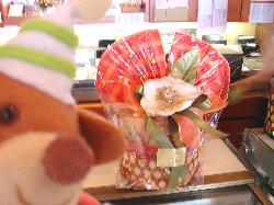 明日からです。