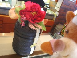 明日からです。