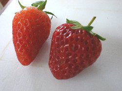 さぁ、どっち？
