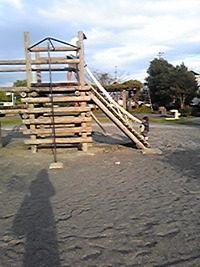 公園で‥☆☆ 2009/11/02 15:25:53