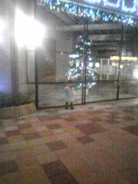 ツリー‥☆☆ 2009/11/27 22:55:22
