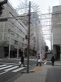 ルミナリエ‥☆☆ 2009/11/28 14:49:57