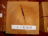 人工乾燥材 2008/06/24 09:17:04