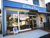 薔薇で魅せるクリスマス 2008/12/08 00:49:08