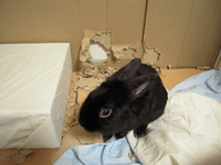 最終日 2009/02/02 22:48:45