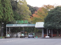 つま恋 2008/11/22 23:42:13