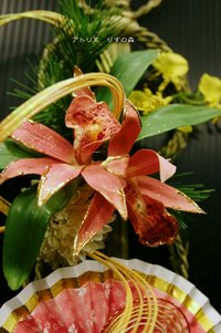 国産しめ縄・お正月飾り