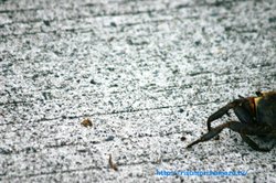 笑顔で登場～（＾－＾）