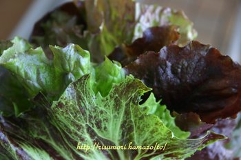 ひらひら野菜はぷるめり屋さんの！