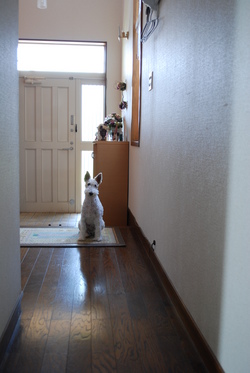 お出かけでしょう？