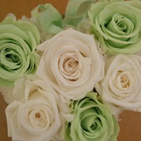 今日のレッスン・・・3/25