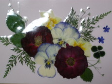 押し花展示会