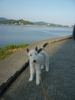 長坂養蜂場