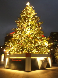 恵比寿〜 2011/11/14 20:06:09
