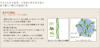 生コラ～！