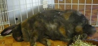 少しはやる気が・・・・(^▽^;) 2011/09/11 17:17:32