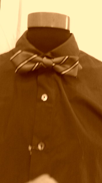 １２.FEB   Fashion-Web