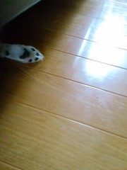 ん？