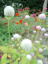 なかなか。。 2009/09/07 22:06:36