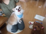 初対面☆ 2009/07/24 21:01:33