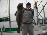 わらさと平目 2008/12/04 11:23:23