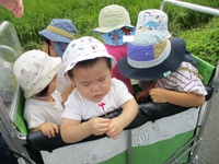 お散歩☆ 2023/09/11 11:54:41