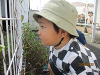 園庭遊び☆ 2023/09/25 11:44:18