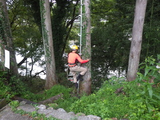 木登り特訓中