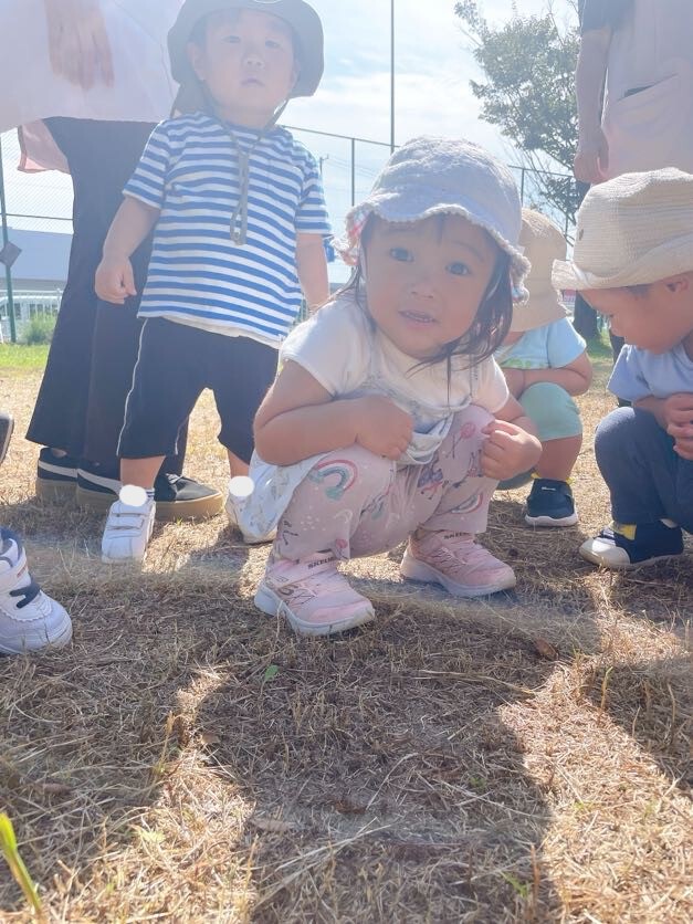 秋の公園散策