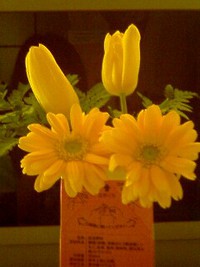 さくら咲けJIS+7B2E 2014/03/05 21:47:48