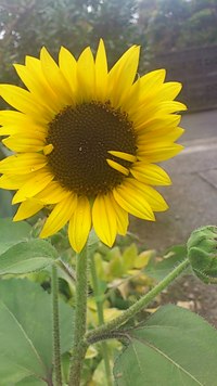 みんな同じ… 2012/08/30 07:22:08