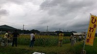 ひまわり祭2013＠浜北内野 ありがとうございました 2013/08/26 06:50:17