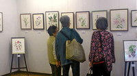 今日が最終日の「第４回グループすみれ植物画展」に行きました 2015/04/26 15:29:08