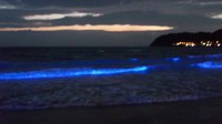 NIGHT WAVE 〜光の波プロジェクト〜 in 逗子海岸に行ってきました 2015/10/12 17:02:47