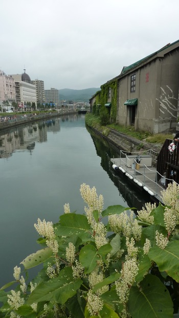 北の大地
