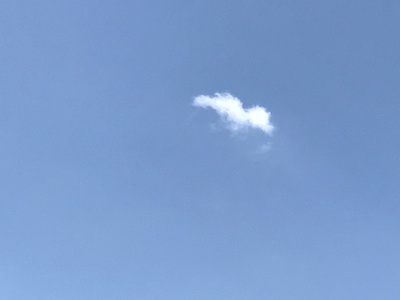 大きな夢