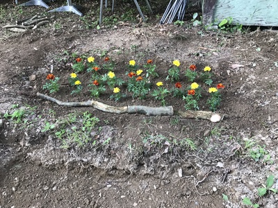 目標(^-^)