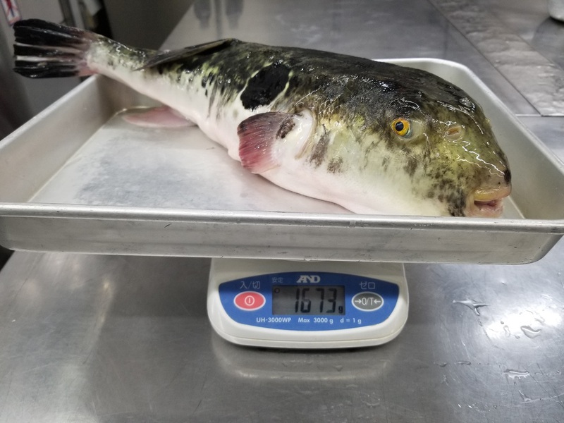 旨いふぐ刺しとは？