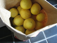 Marmalade　の季節