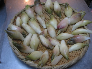 小さな一皿