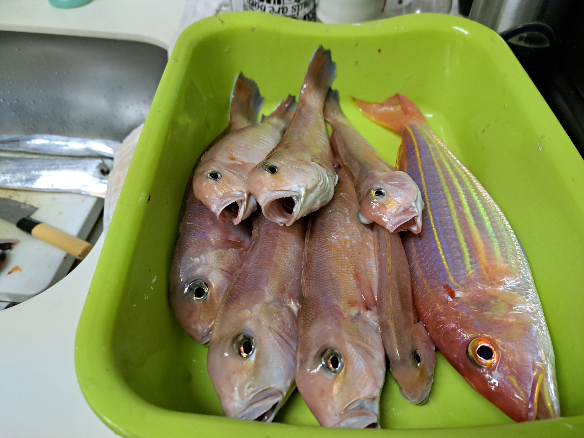 新年初沖